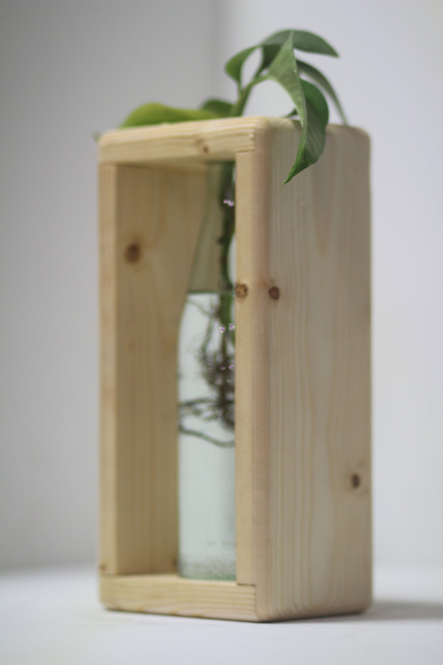 Rounded Rabbit Propagation Station
