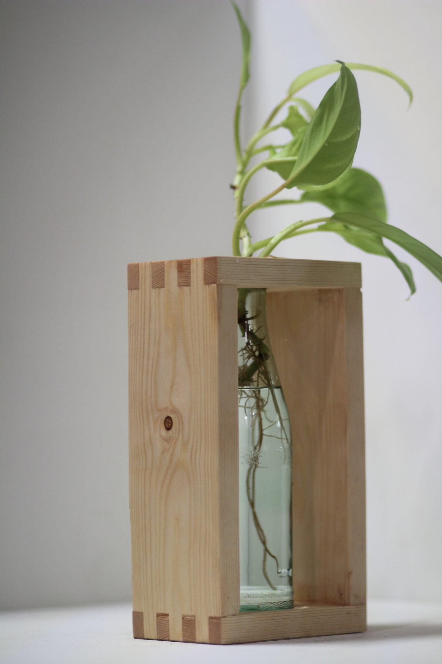 Boxxy Propagation Station