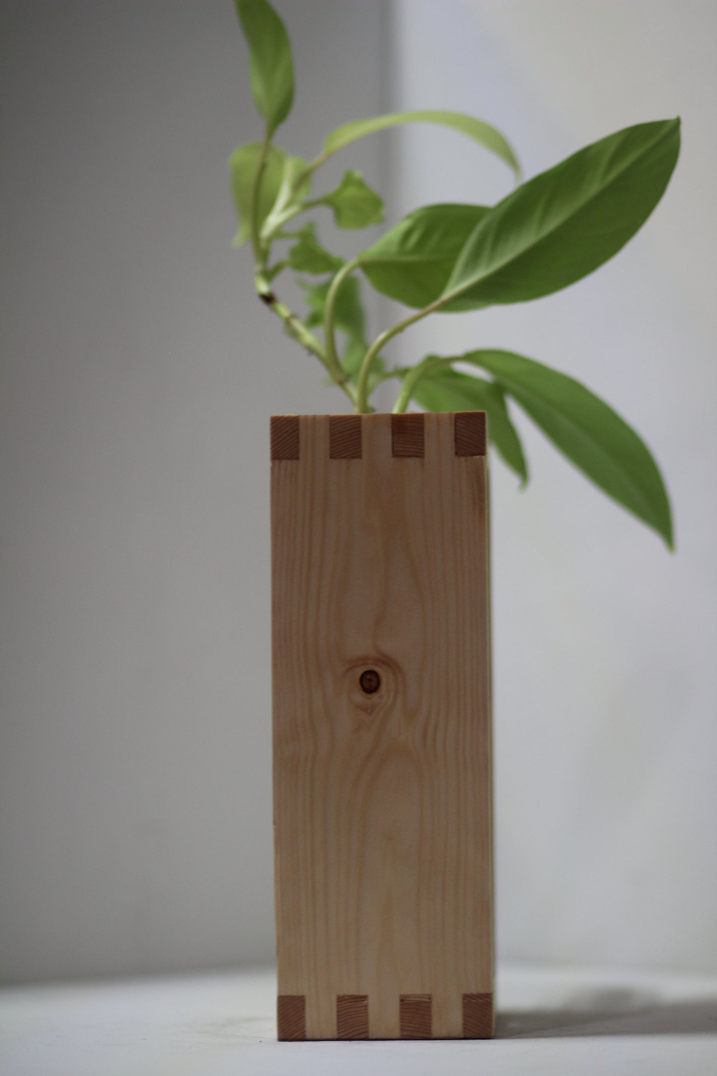 Boxxy Propagation Station