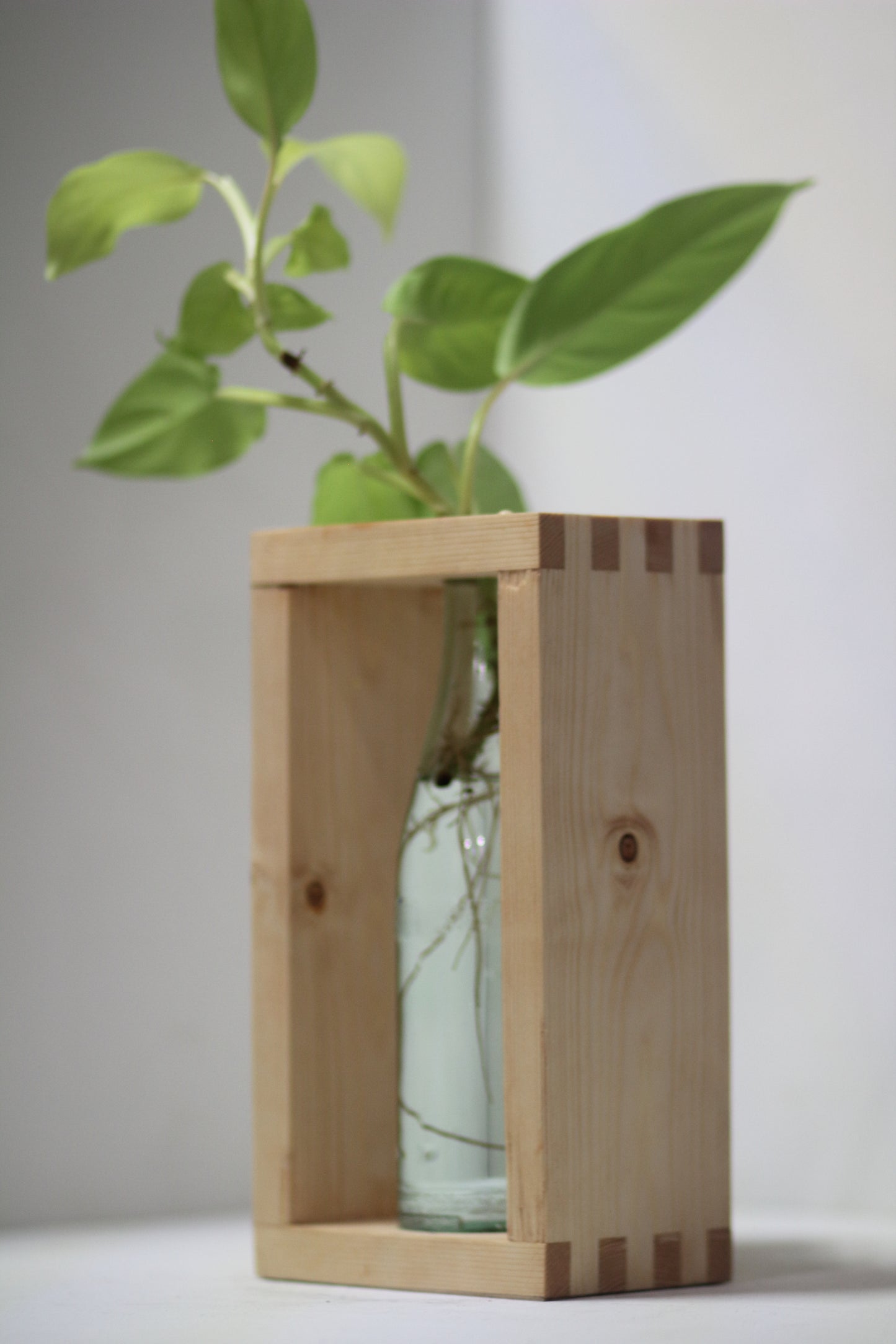 Boxxy Propagation Station