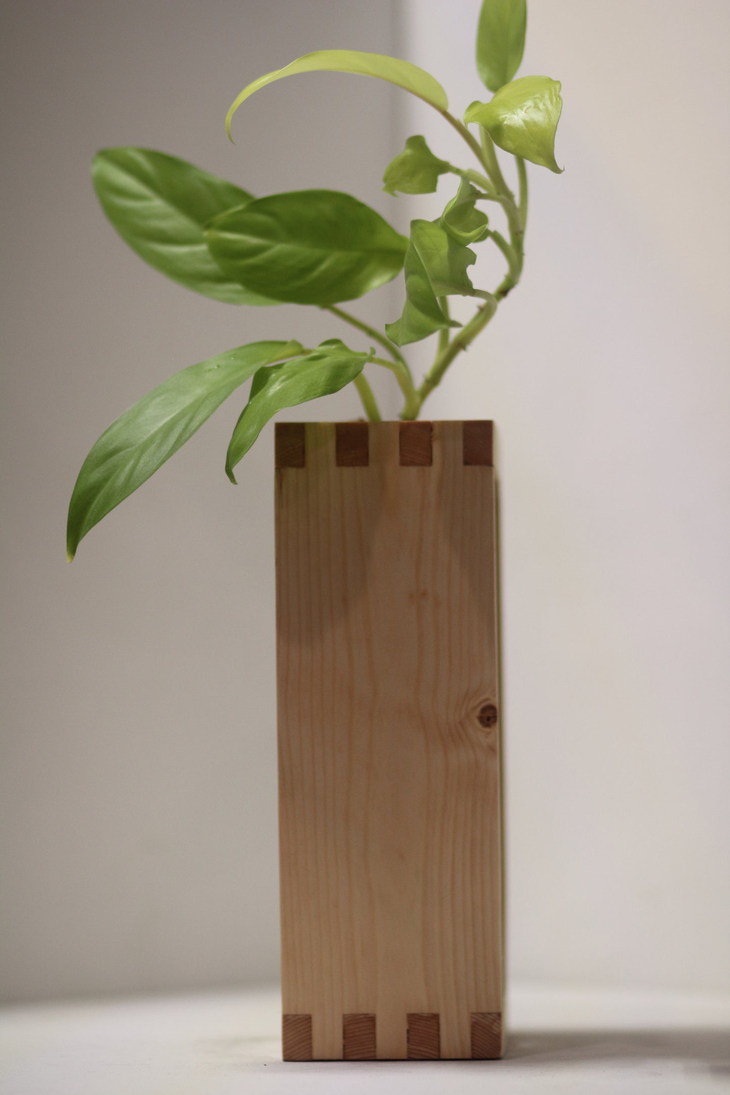 Boxxy Propagation Station