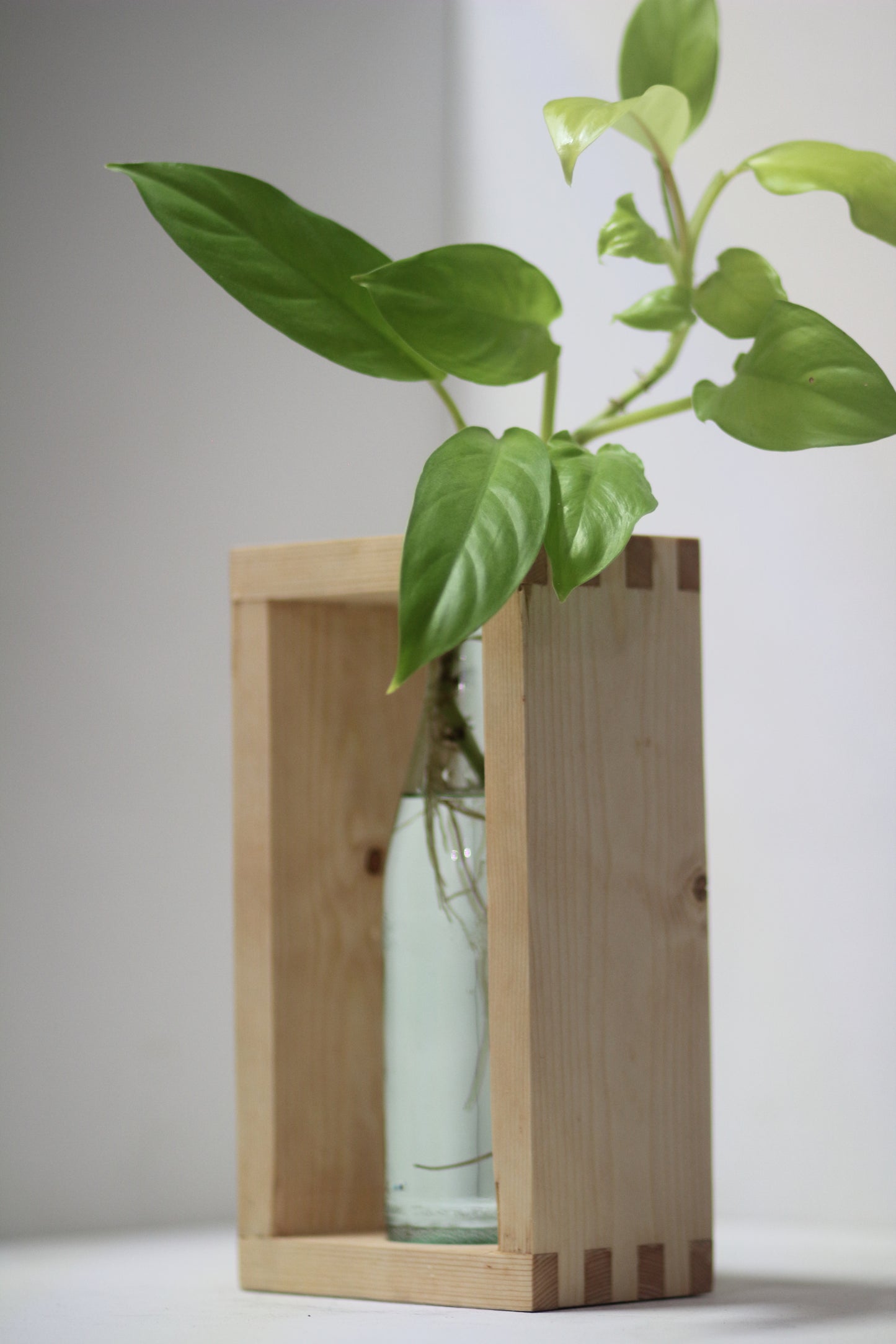Boxxy Propagation Station