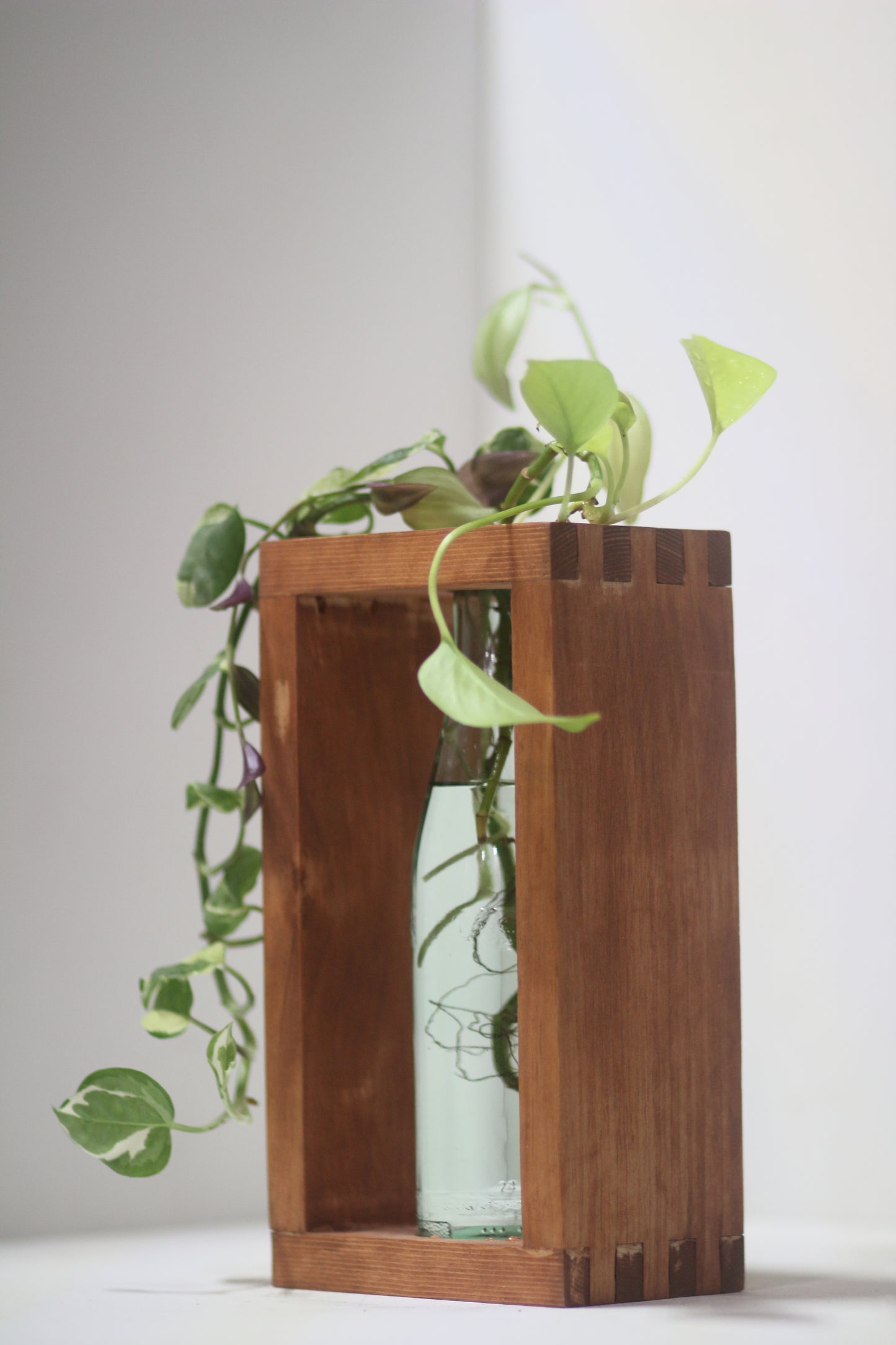 Dark Boxxy Propagation Station