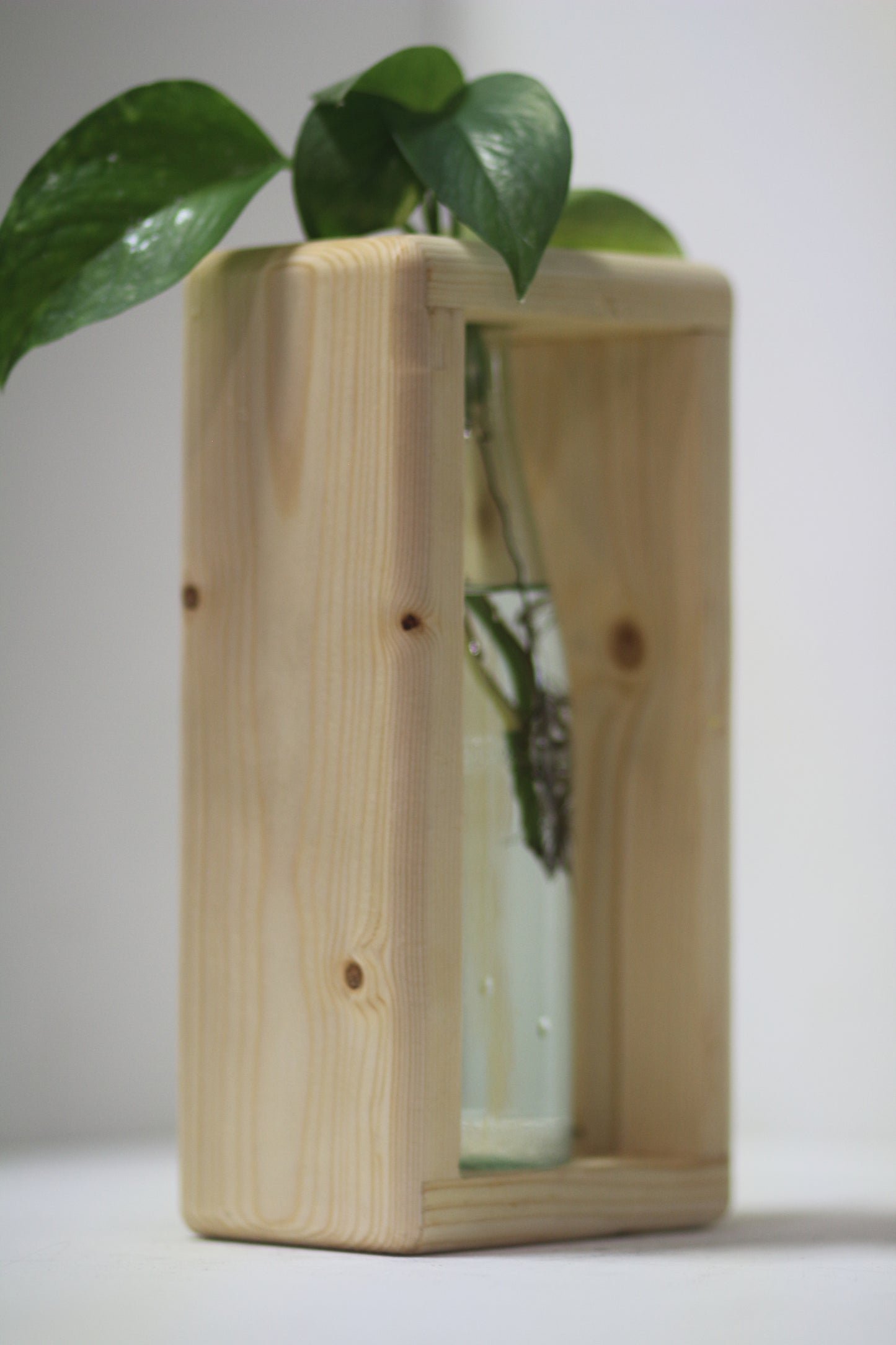 Rounded Rabbit Propagation Station