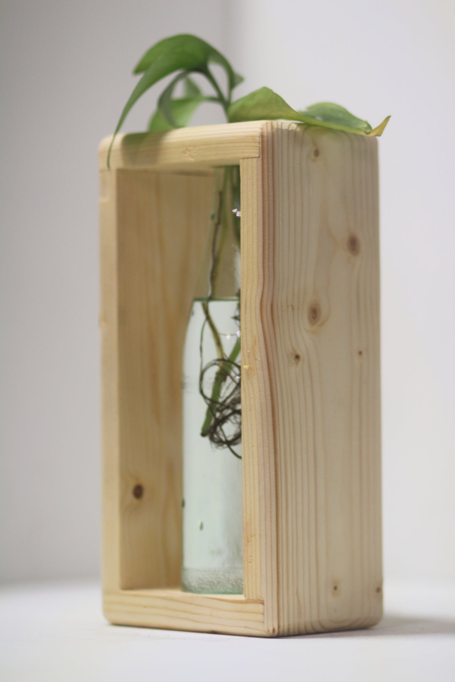 Rounded Rabbit Propagation Station